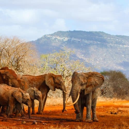 Kasigau Wildlife Sanctuary