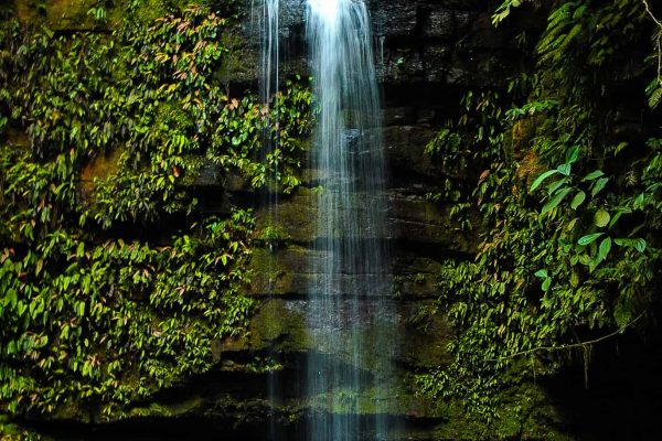 A waterfall in the Cordillera Azul project.