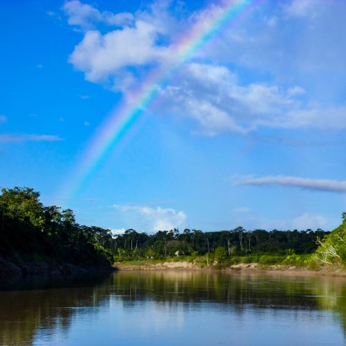 A rainbow over a lake in the Envira Amazonia project.