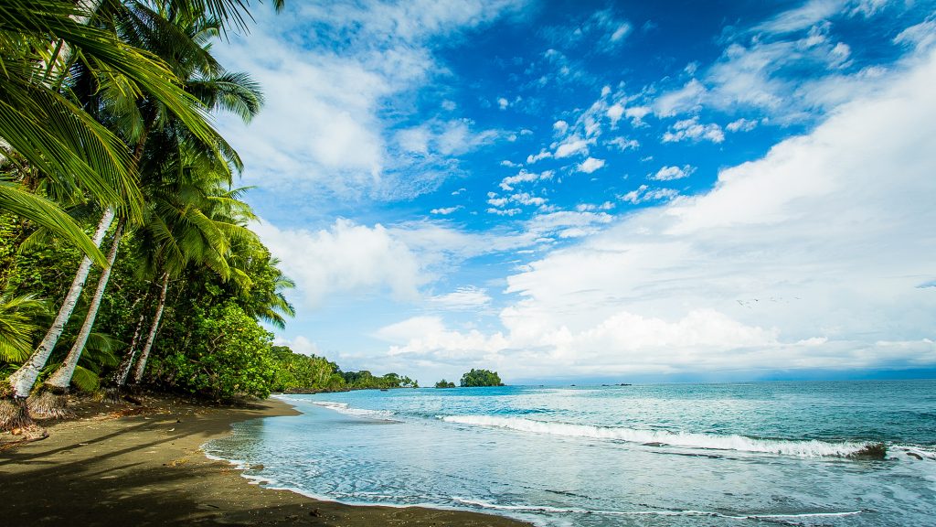Pacific Forest Communities - Beach A tropical beach along the Colombian Pacific coast in the Pacific Forest Communities.