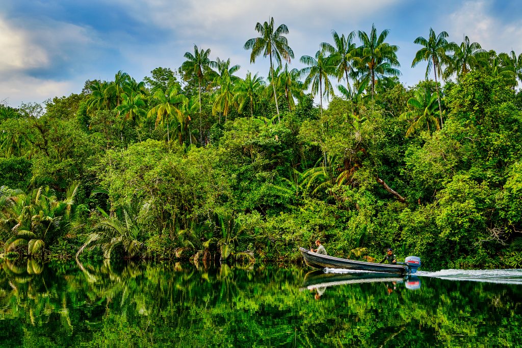 Southern Cardamom – Jungle Jungle and river in Southern Cardamom, Cambodia.