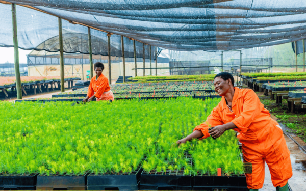 Bukaleba Forest Project