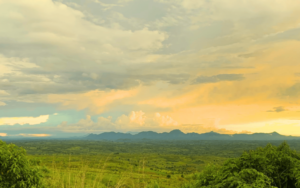 Bukaleba Forest Project - Image 2