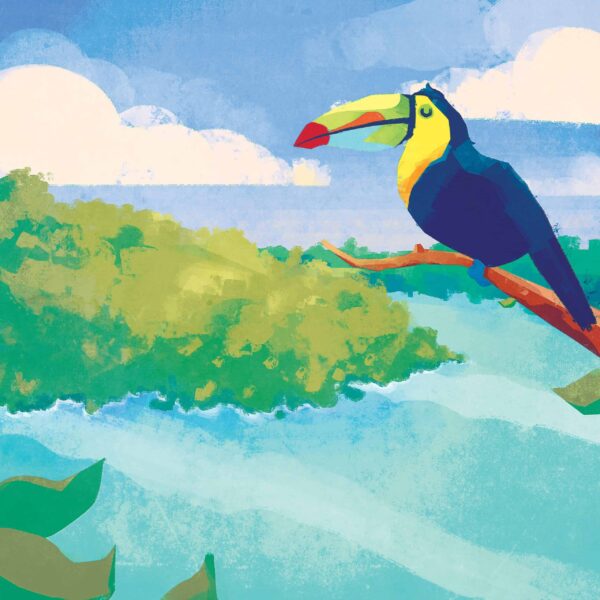Guatemala Conservation Coast - Image 2