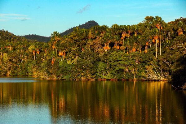 Cordillera Azul - Image 5