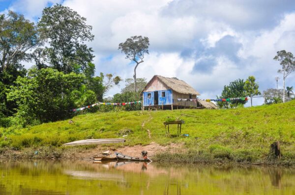 Envira Amazonia - Image 6