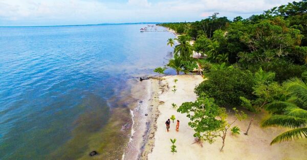 Guatemala Conservation Coast - Image 8