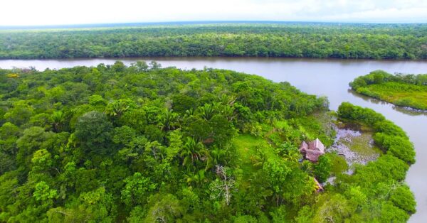 Guatemala Conservation Coast - Image 6
