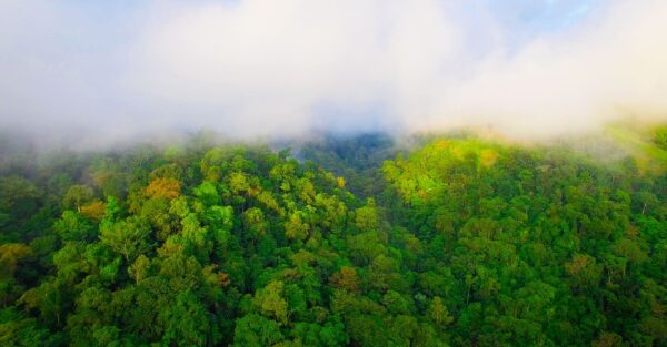 Guatemala Conservation Coast - Image 4