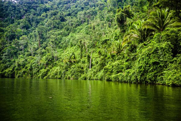Guatemala Conservation Coast - Image 3