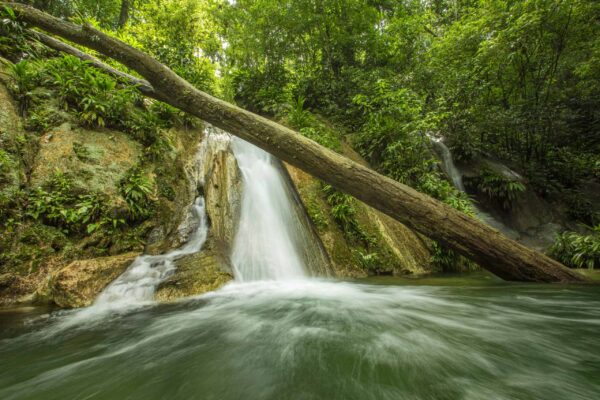 Guatemala Conservation Coast - Image 9