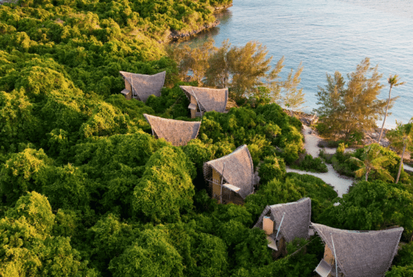 Ecotourism with lodging in a forest